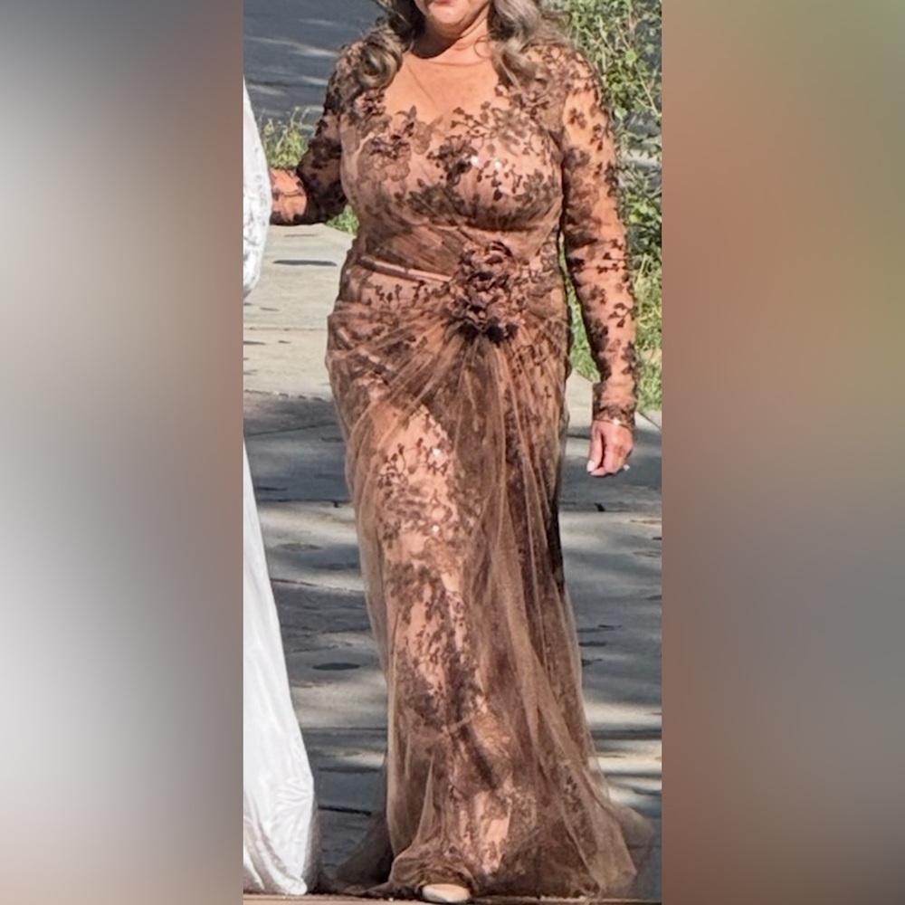 Tadashi Shoji Sylvia Embroidered Illusion Gown - Picture 14 of 14